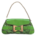 front view of Pre-owned Gucci Green & Black Clutch Snake Print