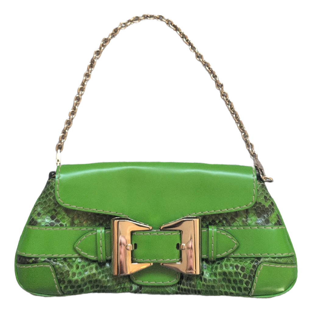 front view of Pre-owned Gucci Green & Black Clutch Snake Print