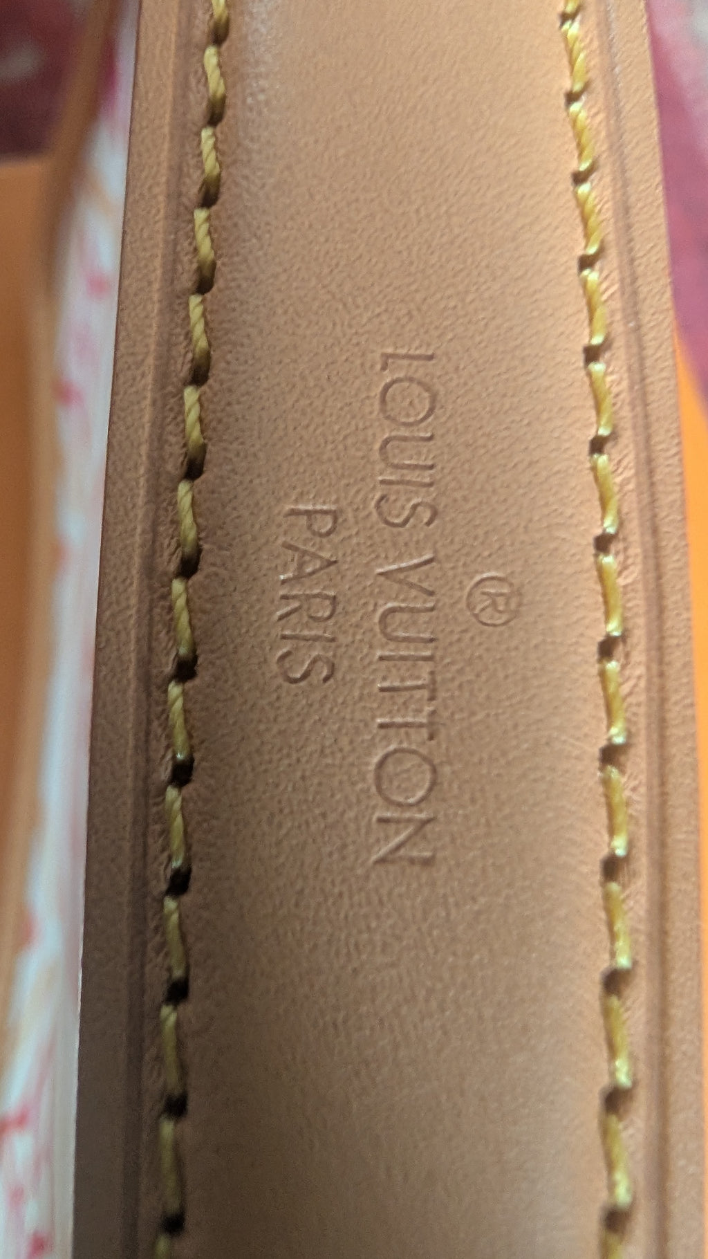 handle Louis Vuitton Nano Diane – By The Pool Collection Summer 2024 Limited Edition