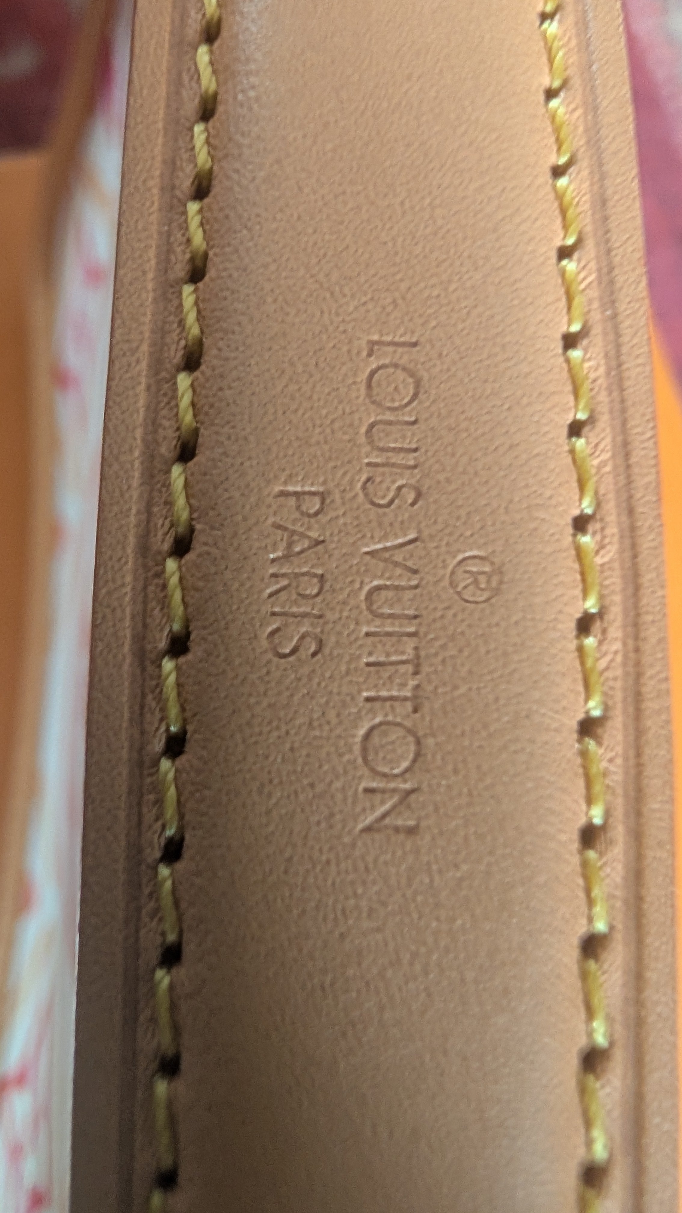 handle Louis Vuitton Nano Diane – By The Pool Collection Summer 2024 Limited Edition