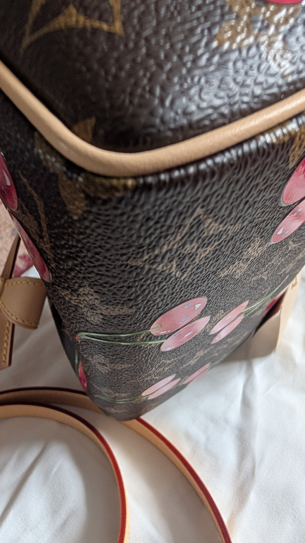 corner 4 Pre-Owned Louis Vuitton x Takashi Murakami Cherry Speedy Bandoulière 