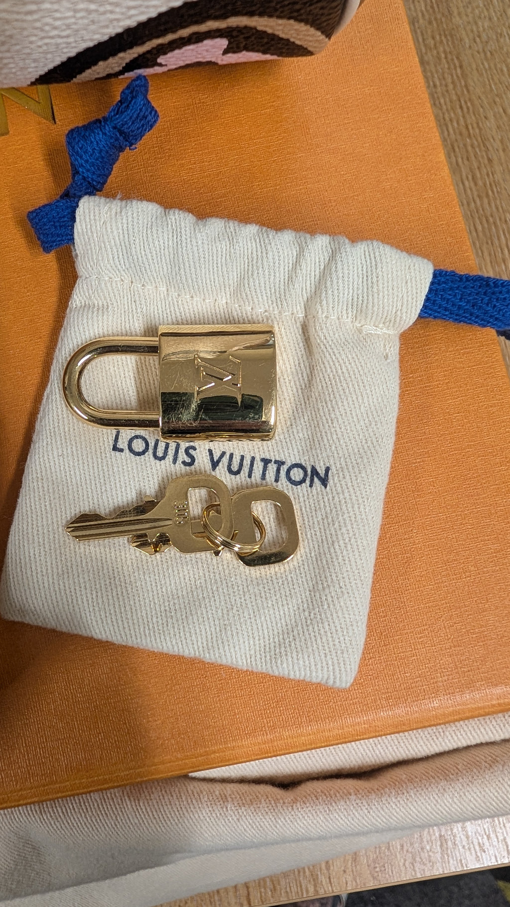 padlock Pre-Owned Louis Vuitton Speedy Bandouliere 25 Wild At Heart Bag - Full Set