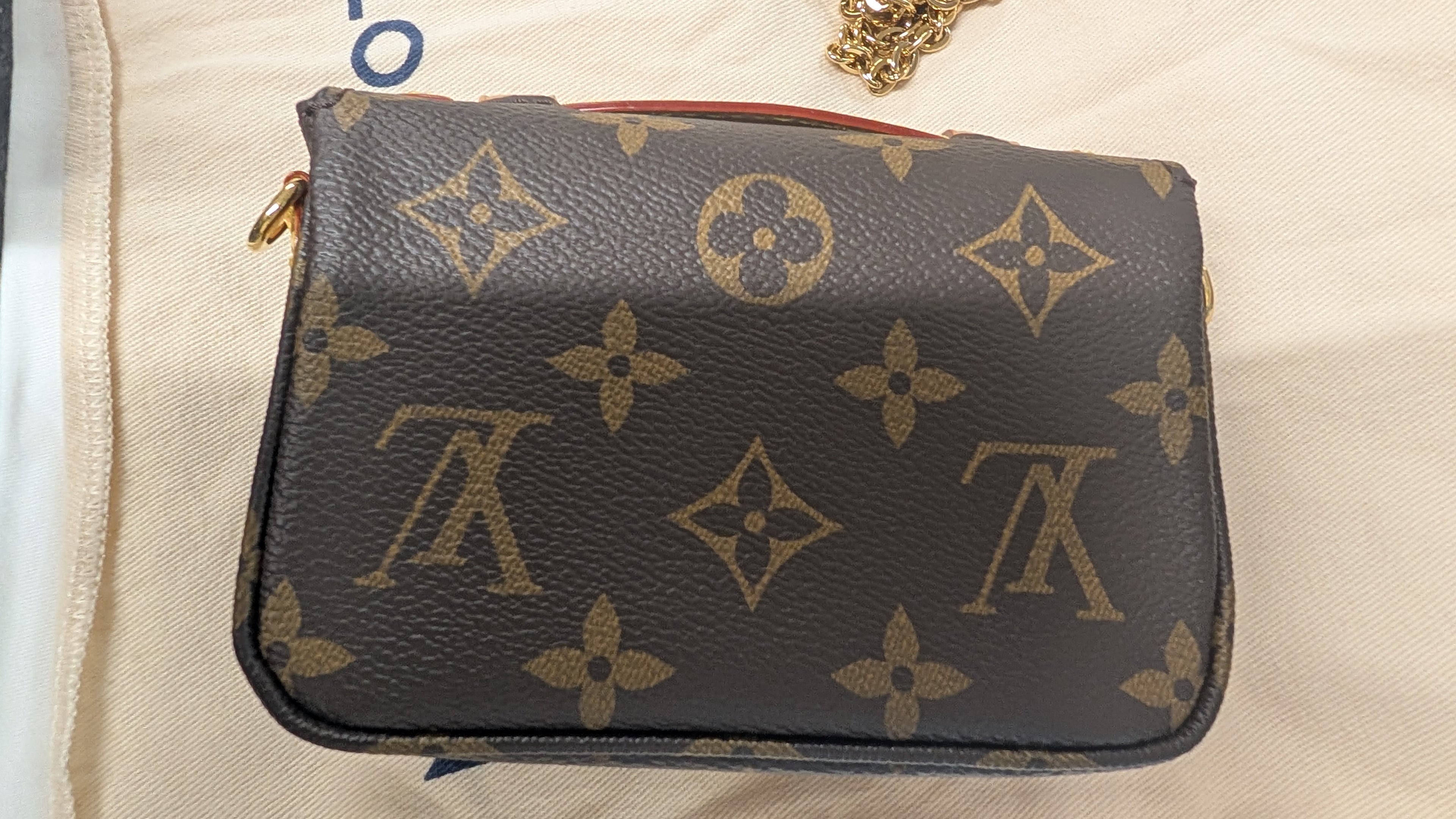 back Pre-Owned Louis Vuitton Micro Metis Bag