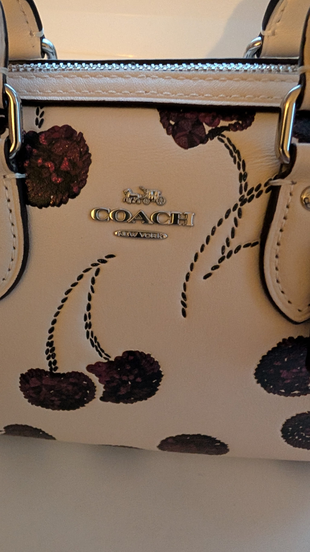 logo Pre-Owned Coach Rowan Cherry Print Leather Crossbody / Mini Satchel – Chalk Multi